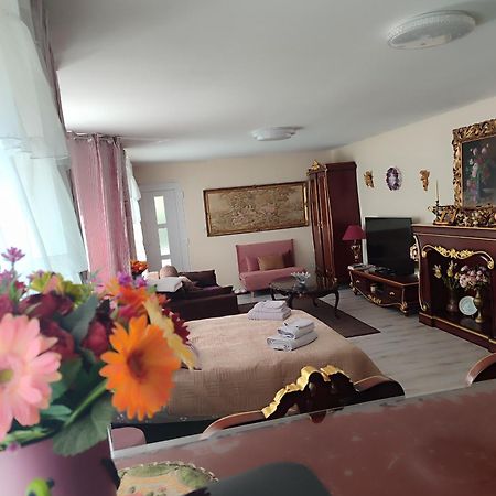 Gite Luxury A Soultzeren 外观 照片