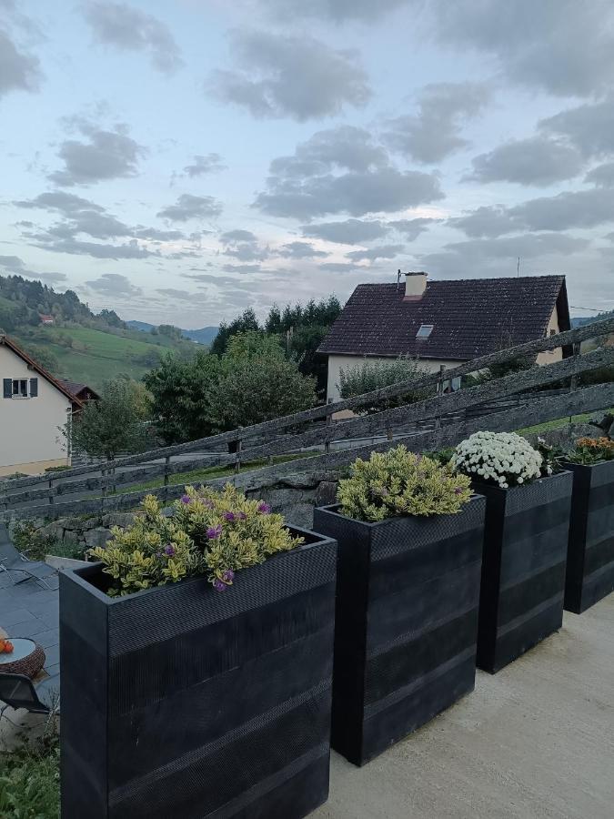 Gite Luxury A Soultzeren 外观 照片